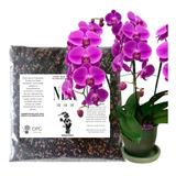 Fertilizante Adubo Para Orquídea Npk 10