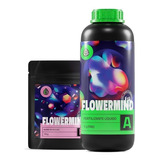 Fertilizante Flowermind Kit M 1 Litro