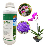 Orquídeas