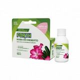 60ml