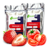 Fertilizante Para Hidroponia 1 000 Litros Frutos