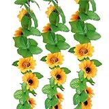 FGCJFTHDRHDRG Pacote Com 3 Guirlandas De Girassol Artificial 2 5 M Girassóis De Seda Trepadeiras Flores Com Folhas Verdes Para Quarto Cozinha Jardim Aniversário Casamento Chá De Bebê