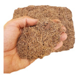 Fibra De Coco Misto médio 50 Litros Substrato Amafibra