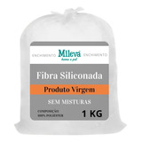 1kg