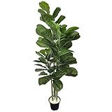 Ficus Lyrata Planta Arvore Artificial Toque Real Realista