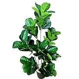 Ficus Lyrata Planta Arvore Artificial Toque Real Realista