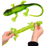 Fofy