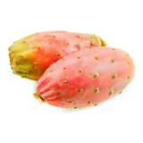 Figo Da Índia Cacto Fruta Sementes Orgânicas P Mudas