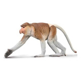 Figura Collecta 