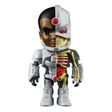 Xxray