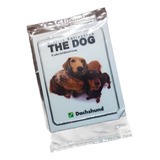 Dachshund