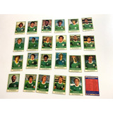 Figurinhas Cards Anos 80 Palmeiras Completo Frete Grátis 