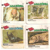 Figurinhas Ping Pong Amazônia Tenho Muitas