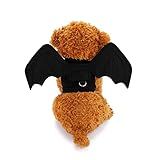 Fihome Halloween Pet Bat Costume Gato Cachorro Fantasia Morcego Asas Para Gatos Pequenos Filhotes Filhote Cosplay Decoração De Festa De Halloween G 