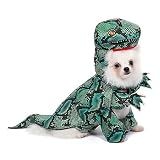 fantasia dinossauro cachorro fantasia cosplay halloween animais estimacao roupas engracadas dinossauro roupas gatos