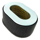 Filtro Ar Elemento Motor Diesel 10hp Toyama Buffalo 13241