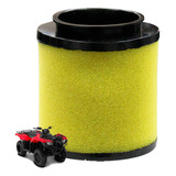 Filtro Ar Quadriciclo Honda Fourtrax Trx 420 2014 Até 2024