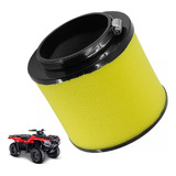 Filtro Ar Quadriciclo Honda Fourtrax Trx 420