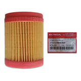 Filtro De Ar Cg Titan 150 2004 A 2008 Original Honda