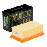Filtro De Ar Hiflo Hfa7913 Bmw F650gs F700gs F800gs Hfa 7913