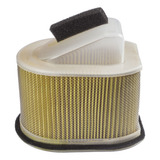 Filtro De Ar Z750 Z800 Z 1000 Kawasaki Modelo Original