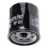 Hf303