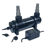 220v
