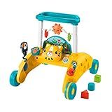 Fisher Price Brinquedo De Bebê Andador Primeiros Passos