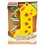 Fisher Price Girafa Divertida Com Blocos B4253 Mattel