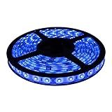 Fita LED 3528 AZUL Rolo 5m Com Fonte 12V 2A