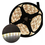 Leds