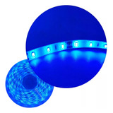 Fita Led 3528 Rolo Com 5 Metros 300 Leds Siliconada Adesivo Luz Azul Tensão De Operação 12v 12v