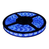 Leds