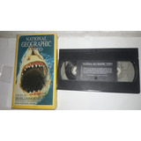 Fita Vhs National Greophaphic Tubarão Branco