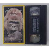 Fita Vhs Original National Geographic Gorila Urbano