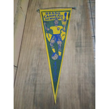 Flâmula Antiga Futebol Brasil Campeão Do Mundo 1958