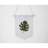 Monstera