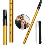 Flauta Irlandesa Irish Tin Whistle Re D Celta Escovada Konig