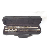 Flauta Transversal Eagle Em Do Com Case Niquelada Fl03n Fl03