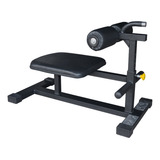 Musculação