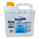 Dominus