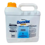Dominus