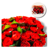 Flor 50 Rosas Buquê Presente Mãe
