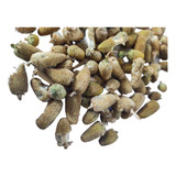 Flor De Jambu Desidratada 500g Produto Do Pará