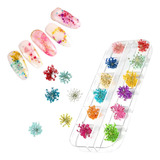 Flor Seca Desidratada Encapsulamento 3d Gel 12 Unidades
