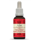 Floral Adulto Redução De Peso 31ml Bio Florais