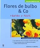 Flores De Bulbo Y Co Rapido Y Facil Bulb Flowers