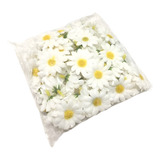 Flores Mini Margarida Artificial Pacote Com 100 Unidades