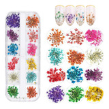 Flores Secas Desidratadas P Unha Encapsulada Gel Decoração