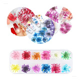 Flores Secas Desidratadas Realistas Ecológicas 12 Unidades Naturais Para Unhas Encapsuladas Nail Gel Strass Decoração 3d Lush Deluxe Colorido De Unha Com Flores